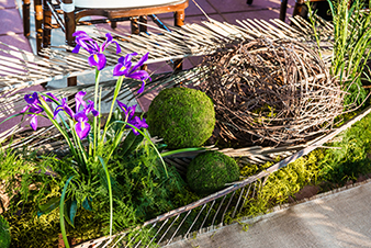 nest and flowers