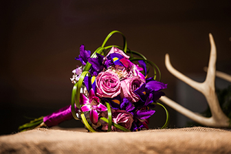 purple and antlers